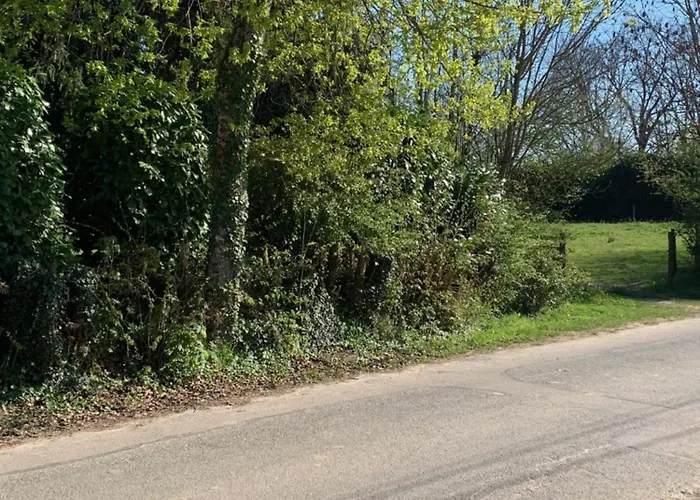 Sur Côte En Dombes *
