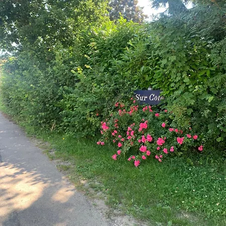 Sur Cote En Dombes